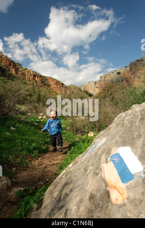 Israel, Galiläa, Amud (Säule) streamen Naturschutzgebiet und Park einen Babyjungen steht neben der blaue Trail-Kennzeichnung Stockfoto