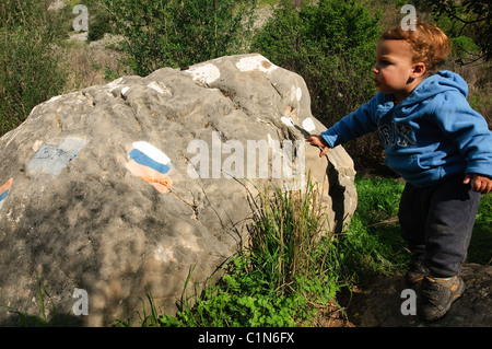 Israel, Galiläa, Amud (Säule) streamen Naturschutzgebiet und Park einen Babyjungen steht neben der blaue Trail-Kennzeichnung Stockfoto