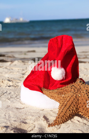 Karibik Weihnachtsmütze und Seestern am Strand, Nahaufnahme Stockfoto