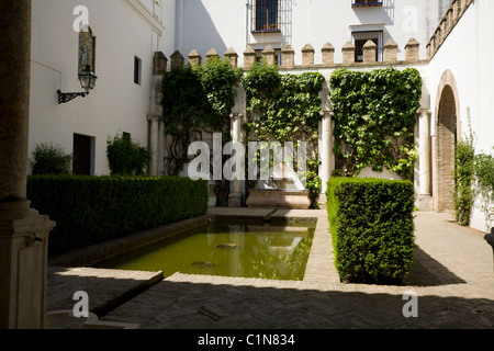 Innenhof mit dekorativen Wasserbecken an der Real Alcazar De Sevilla / Sevilla. Spanien. Stockfoto