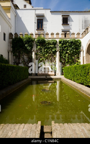 Innenhof mit dekorativen Wasserbecken an der Real Alcazar De Sevilla / Sevilla. Spanien. Stockfoto