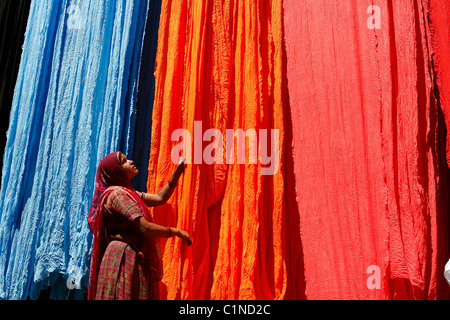 Indien, Rajasthan State, Trocknung von Streifen aus Baumwolle für die Herstellung von sari Stockfoto