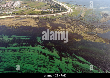 Frankreich, Charente Maritime, Re-Insel, Phare des Baleines (Leuchtturm) (Luftbild) Stockfoto