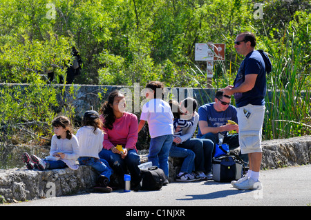 Besucher Anhinga Trail Everglades Nationalpark FL USA Wildlife Ökosystem Natur Stockfoto