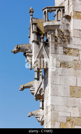 Regensburg, Dom St. Peter Stockfoto