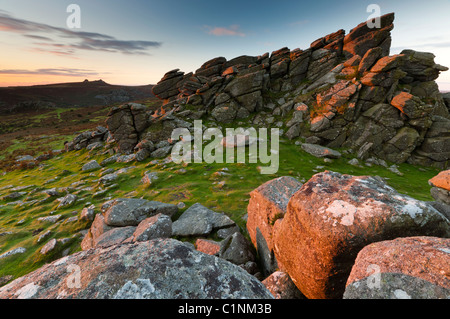 Blick vom Hound Tor in Richtung Haytor. Dartmoor-Nationalpark. Devon. England. Europa Stockfoto