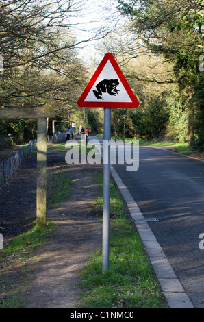 Warnschild mit Kröten oder Frösche über die Straße Stockfoto