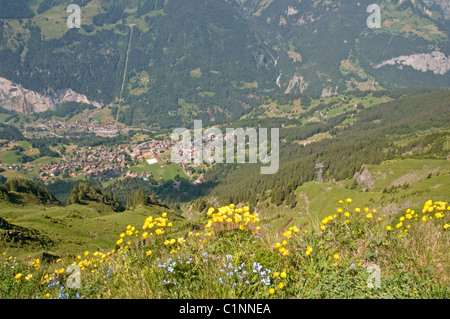 Blick aus der männlichen hinunter ins Lauterbrunnental und die Stadt von Wengen Stockfoto