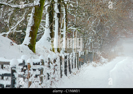 Schnee bedeckte Gasse führt zum Sheepstor Dorf auf Dartmoor Devon UK Stockfoto