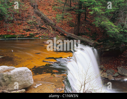 Seitenansicht der Oneida Wasserfälle und fallenden Wassers in Ricketts Glen State Park, Pennsylvania. Stockfoto