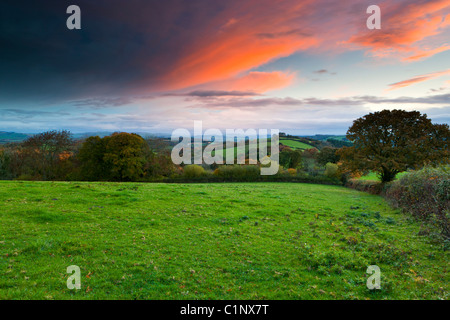 Herbst Sonnenaufgang über Felder in der Nähe von Exeter. Devon. Südwest-England. Europa Stockfoto