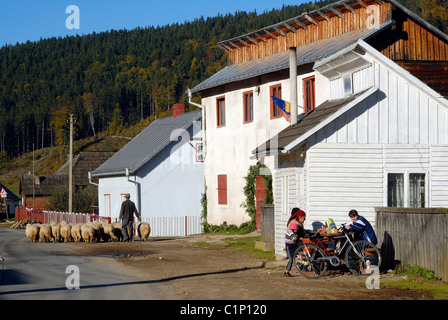 Rumänien, Süden von Bukowina Dorf an der Hauptstraße zwischen Cimpulung Moldovenesc & Gura Humorului Moldovita Fluss entlang Stockfoto