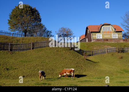 Rumänien südlich von Bukowina Landschaft an der Hauptstraße zwischen Cimpulung Moldovenesc & Gura Humorului Städte entlang Stockfoto