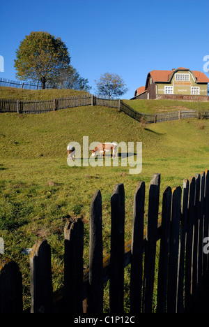 Rumänien südlich von Bukowina Landschaft an der Hauptstraße zwischen Cimpulung Moldovenesc & Gura Humorului Städte entlang Stockfoto