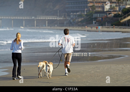 USA, California, San Diego, La Jolla, Ehepaar, Joggen mit ihrem Hund am Strand Stockfoto