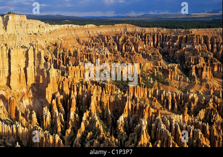 Vereinigten Staaten Utah Bryce Canyon National Park Amphitheater Felsformation genannt Hoodoos von Fairyland Point zum Bryce Canyon Stockfoto