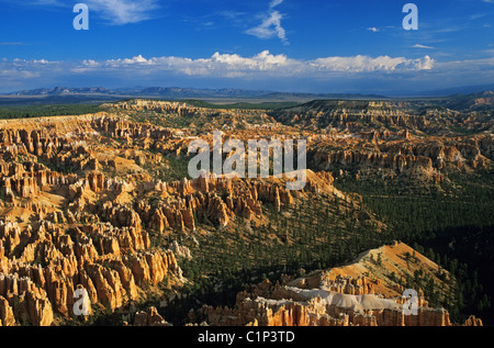 USA, Utah, Bryce-Canyon-Nationalpark, Amphitheater Felsformation genannt Hoodoos von Fairyland Point Stockfoto