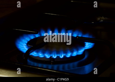 Brenner von einem Herd mit blauer Flamme Stockfoto