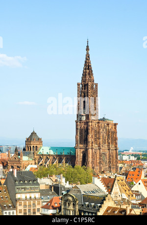 Straßburg, Straßburger Münster Unserer Lieben Frau, Cathédrale Notre-Dame Stockfoto