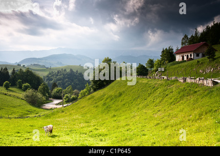 Schöne lebendige und erstaunliche Landschaft von rumänischen Landschaft Stockfoto