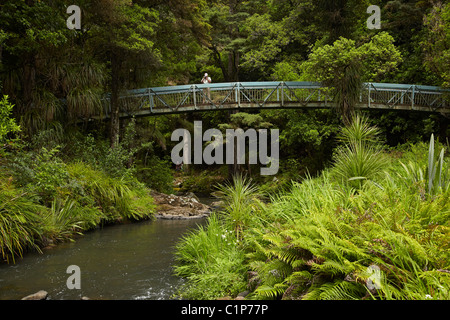 Touristen auf Brücke über Hatea River unterhalb Whangarei Falls, Whangarei, Northland, Nordinsel, Neuseeland Stockfoto
