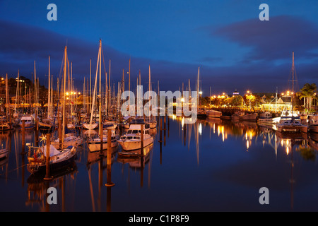 Yachten im Stadt-Becken, Whangarei, Northland, Marina, Nordinsel, Neuseeland Stockfoto