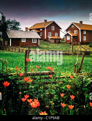 Skandinavisches Dorf, Blumen im Vordergrund Stockfoto