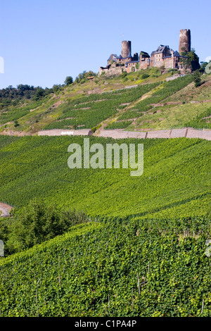 Deutschland, Burg Thurant, Alken, Mosel Tal Burg am Hügel mit Blick auf Weinberg Stockfoto