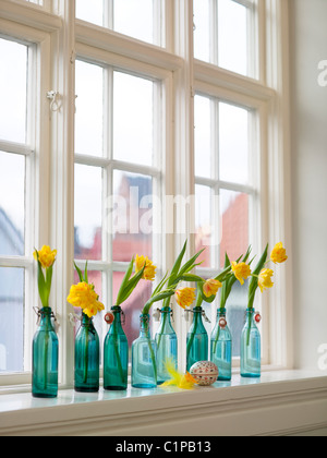 Narcisses in Flaschen auf Fensterbank Stockfoto