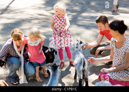 Familie füttern Ziegen im zoo Stockfoto