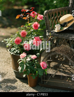 Nahaufnahme von Topfrosen, Gartenstuhl und Strohhut Stockfoto