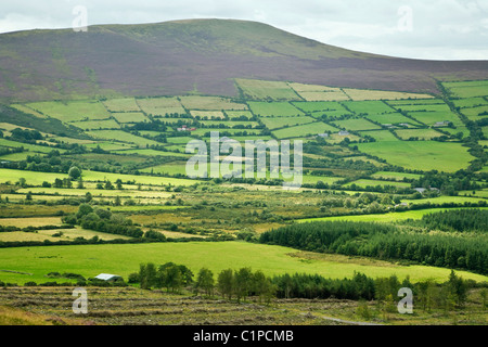 Republik von Irland, County Carlow, Mount Leinster mit Blick auf Landschaft Stockfoto