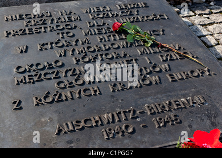 Denkmal-Plakette an Auschwitz II-Birkenau, Polen. Stockfoto