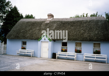 Außenansicht des berühmten irischen Pubs, „Ryan's Bar“. Allgemein bekannt als „The Thatch“, in der Nähe von Newcastle, County Tipperary, Irland, 2006. Stockfoto