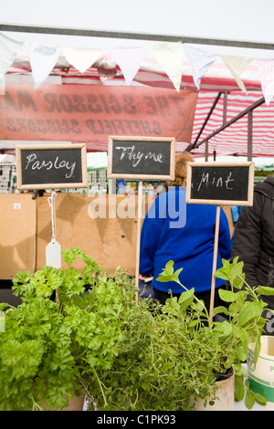 England, Derbyshire, Ashbourne, Kraut Pflanzen am Marktstand Stockfoto