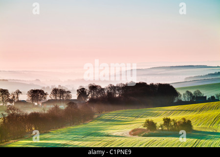 Eine schöne nebligen Sonnenaufgang über die Marlborough Downs in Wiltshire, England, UK Stockfoto