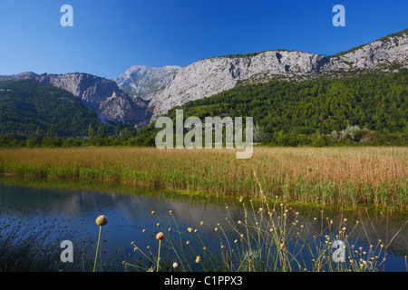 Landschaft des Flusses Cetina in der Nähe von Omis Stockfoto