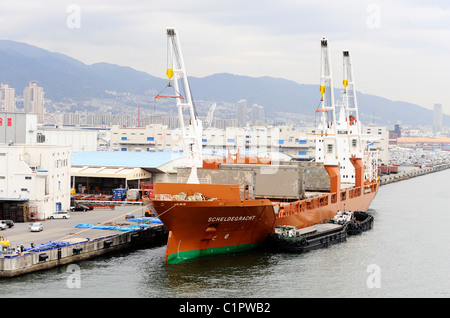 Das niederländische Schüttgut Scheldegracht Schiff in Kobe, Japan Stockfoto