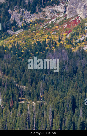 Teton Range Mountains, Ansichten von Jenny Lake, Mt. St. John, hängenden Canyon, Rockchuck Peak, Grand-Teton-Nationalpark, Wyoming, USA Stockfoto