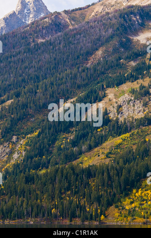 Teton Range Mountains, Ansichten von Jenny Lake, Mt. St. John, hängenden Canyon, Rockchuck Peak, Grand-Teton-Nationalpark, Wyoming, USA Stockfoto