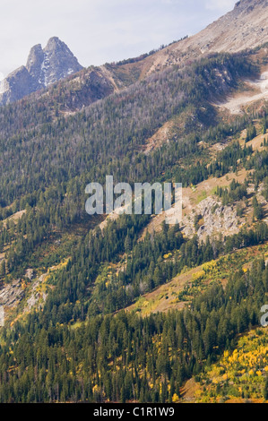 Teton Range Mountains, Ansichten von Jenny Lake, Mt. St. John, hängenden Canyon, Rockchuck Peak, Grand-Teton-Nationalpark, Wyoming, USA Stockfoto