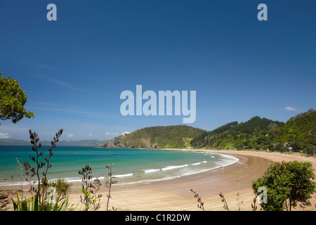 Leinsamen-Köpfe und Long Beach, Russell, Oneroa Bucht, Bucht der Inseln, Northland, Nordinsel, Neuseeland Stockfoto