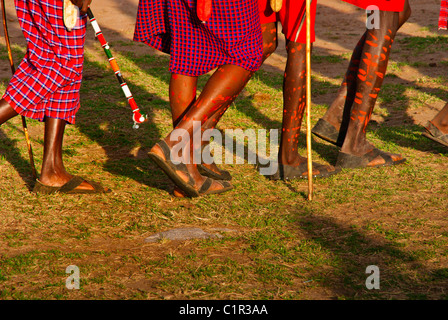 Masai Männer mit verzierten Beinen dabei einen willkommenen Tanz in einem Dorf außerhalb der Masai Mara National Reserve, Kenia, Afrika Stockfoto