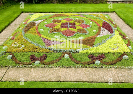 Formale Knoten Garten in RHS-Zentrale / HQ bei Wisley. Surrey. VEREINIGTES KÖNIGREICH. Stockfoto