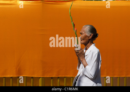 ältere Frau beten in Wat Phra, dass Si Chom Tong-Tempel in Chiang Mai, Thailand Stockfoto