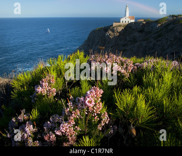 ES - MALLORCA: Leuchtturm von Cala Ratjada bei Punta de Capdepera Stockfoto