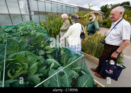 Personen / Person / Besucher / Besucher / Tourist / Touristen im Gemüsegarten in RHS-Zentrale / HQ bei Wisley. Surrey. VEREINIGTES KÖNIGREICH. Stockfoto