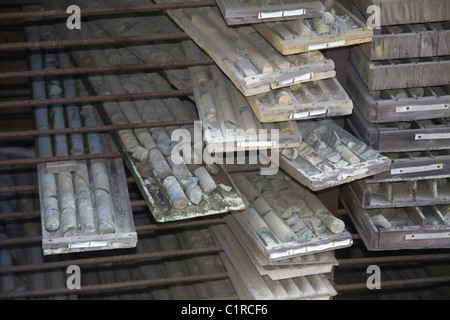 Verlassene Schalen von Bohrkernen Stockfoto