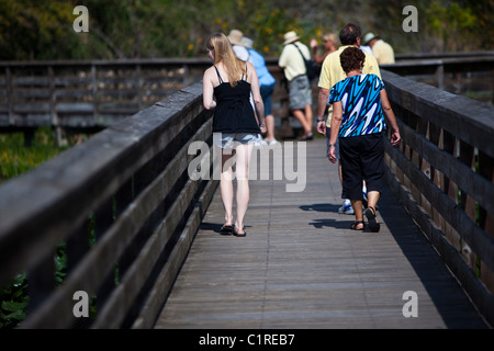Menschen zu Fuß auf erhöhten Promenade, Green Cay Sumpfgebiete, Florida, USA Stockfoto
