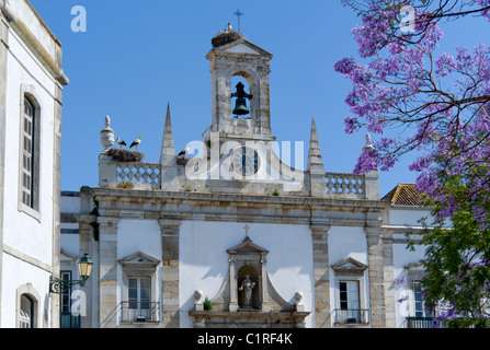 Storchennester auf den Arco da Vila, der Altstadt, Faro, Algarve, Portugal Stockfoto